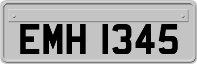 EMH1345