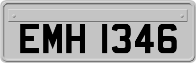 EMH1346