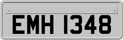 EMH1348