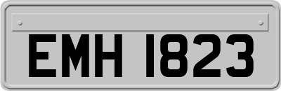 EMH1823