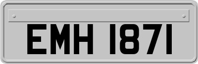 EMH1871