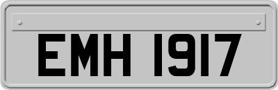 EMH1917