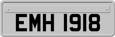 EMH1918