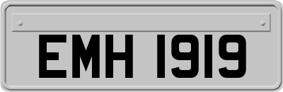 EMH1919