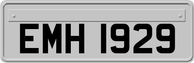 EMH1929