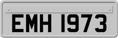 EMH1973