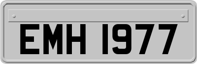 EMH1977