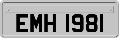 EMH1981
