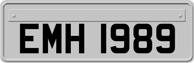 EMH1989