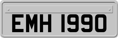 EMH1990