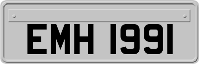 EMH1991