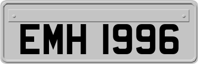 EMH1996