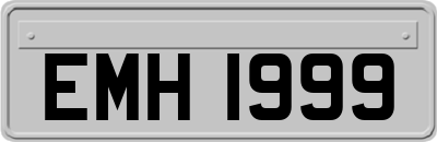 EMH1999