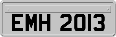 EMH2013