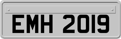 EMH2019