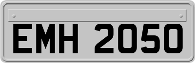 EMH2050