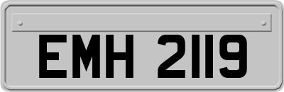 EMH2119