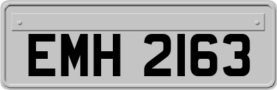 EMH2163