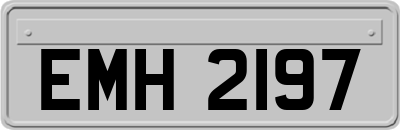 EMH2197