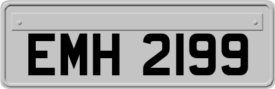 EMH2199