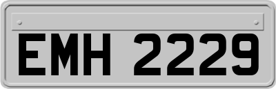 EMH2229