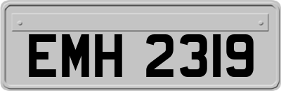 EMH2319