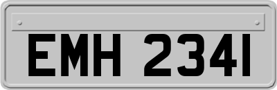 EMH2341
