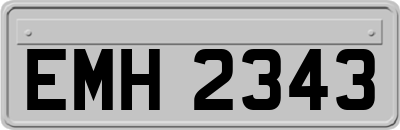 EMH2343