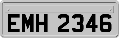 EMH2346
