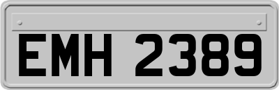 EMH2389