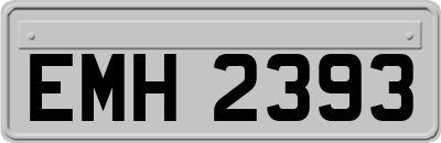 EMH2393