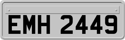 EMH2449