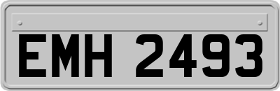 EMH2493