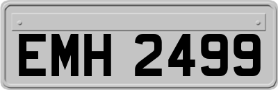 EMH2499