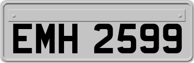 EMH2599