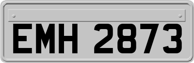 EMH2873