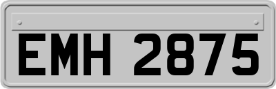 EMH2875