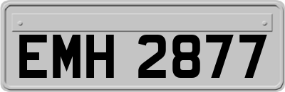 EMH2877