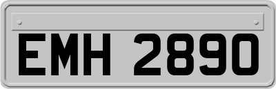 EMH2890