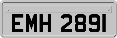 EMH2891