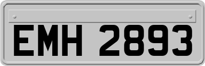 EMH2893
