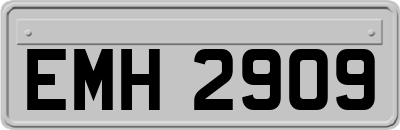 EMH2909