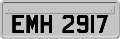 EMH2917