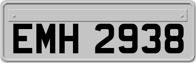 EMH2938