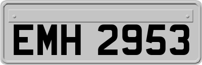 EMH2953