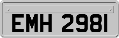 EMH2981