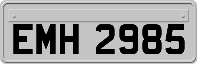 EMH2985
