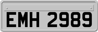 EMH2989