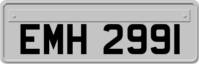 EMH2991