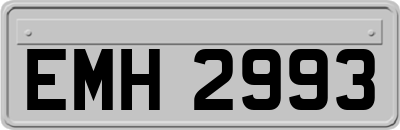 EMH2993